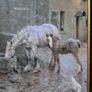 The Farmyard by Fred Hall, Vintage Decorative Framed Reproduction Print Image 2
