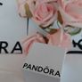 new genuine pandora reflections charm Image 5