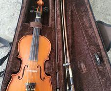 Violin