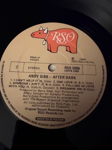 Andy Gibb After Dark Original 1980 Irish Pressing Vinyl LP