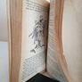 Come Here Till I tell You by Patrick Campbell. Illustrations by Quentin Blake (HQ55) Image 4