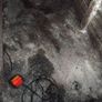 7x4 Image 5