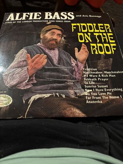 Musicals and Sound Track Vinyls