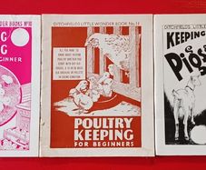 3 Booklets/ Ditchfields Little Wonder Books/ 1952