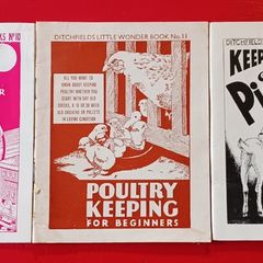 3 Booklets/ Ditchfields Little Wonder Books/ 1952