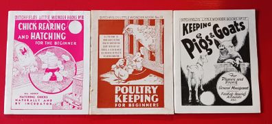 3 Booklets/ Ditchfields Little Wonder Books/ 1952