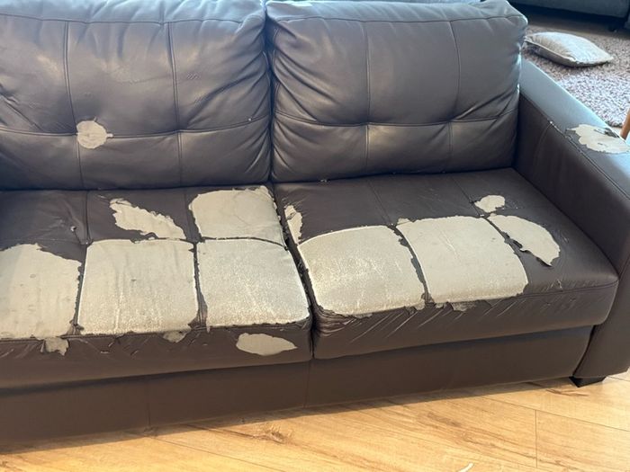 couch