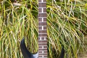 90s Alvarez Dana Scoop