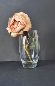 Glass vase