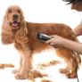 Dog Clippers - Dog Grooming Kit: Professional Low Noise Pet Clippers - Low Vibration Dog Shaver Pet Grooming Kit for Dogs Cats Pets Trimmer Set (FREE POSTAGE) Image 4