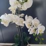 Artifical plant Orchid Image 5