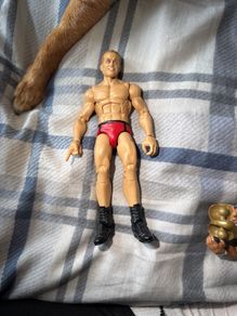 wwe figure