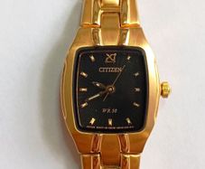 Watch Citizen