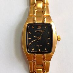 Watch Citizen