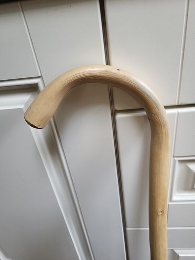 Walking stick
