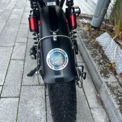 Electric bike