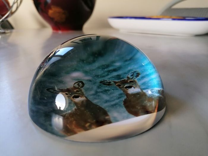 Paperweight