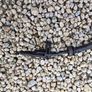 BMW X3 F25 M-Sport 2.0D Xdrive ABS sensor Image 5