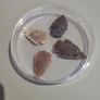 Indian arrowheads Image 4