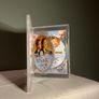 Titanic Special Edition DVD Leonardo DiCaprio Kate Winslet Image 4