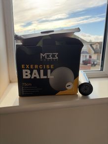 Exercise/Pregancy ball