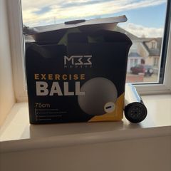 Exercise/Pregancy ball