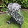Buggy Image 6