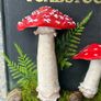 The Ultimate Mushroom and Toadstool Book and Bookmark Image 5