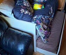 Day Bed