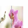 Folding Room Divider 200x170 cm Flower Image 3