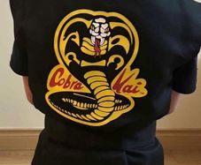 Cobra Kai haloween costume
