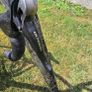 Macario Zancolan (Full Carbon Bike Size 54) Image 8
