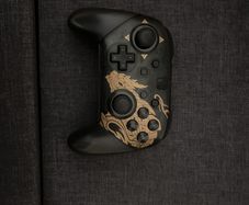 nintendo switch pro controller