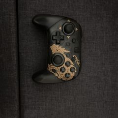 nintendo switch pro controller