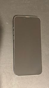 iPhone 13 Pro Max 128GB Sierra Blue  Immaculate Condition