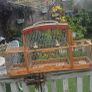 bird cage Image 2