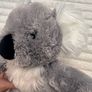 Build a Bear Workshop 2011 Gray Koala approx. 40 cm. NOT Working Used Please see photos Image 6
