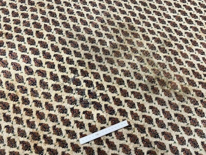 P.ersian Rug Sarok 390 x 295cm (SA235)