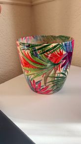 Plant Pot