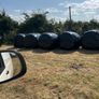 Top quality silage Image 2