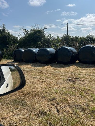 Top quality silage