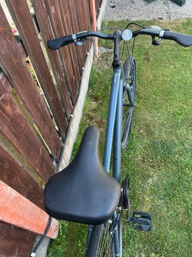 Raleigh Bike