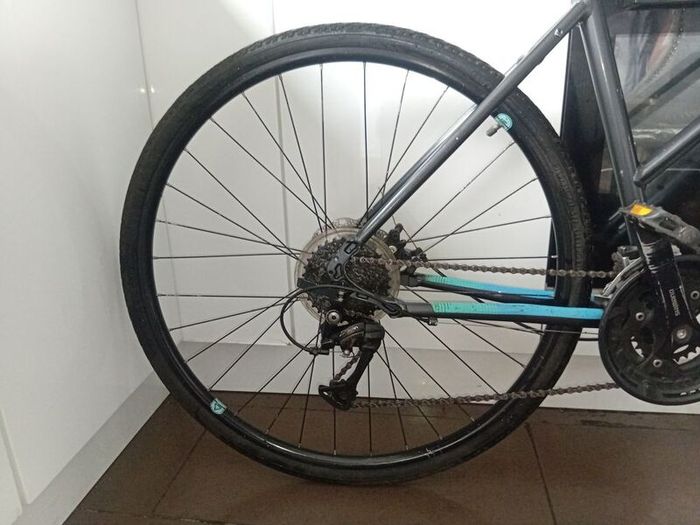 fuji Absolute