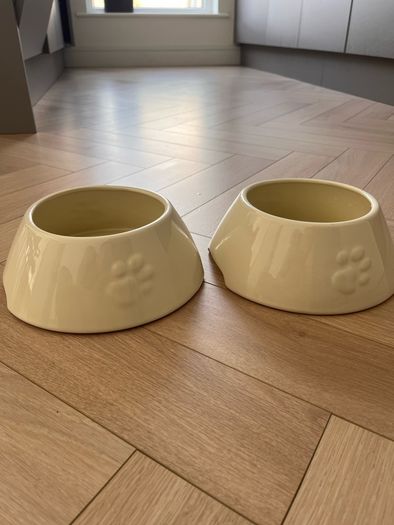 dog bowl