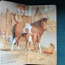 Books by Gisela Fischer & Bob Bampton Image 7