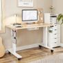 Electric Height Adjustable Standing Desk, 100x60cm Sit Stand Desk Image 8