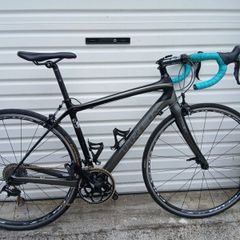 Trex Domane 4.0