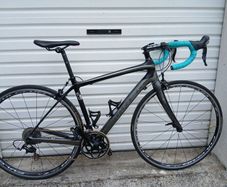 Trex Domane 4.0