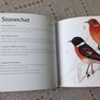 British Birds. Identification Guides.  Book Image 8