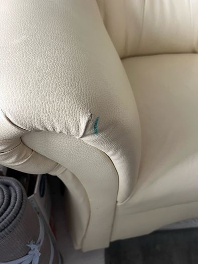 arm